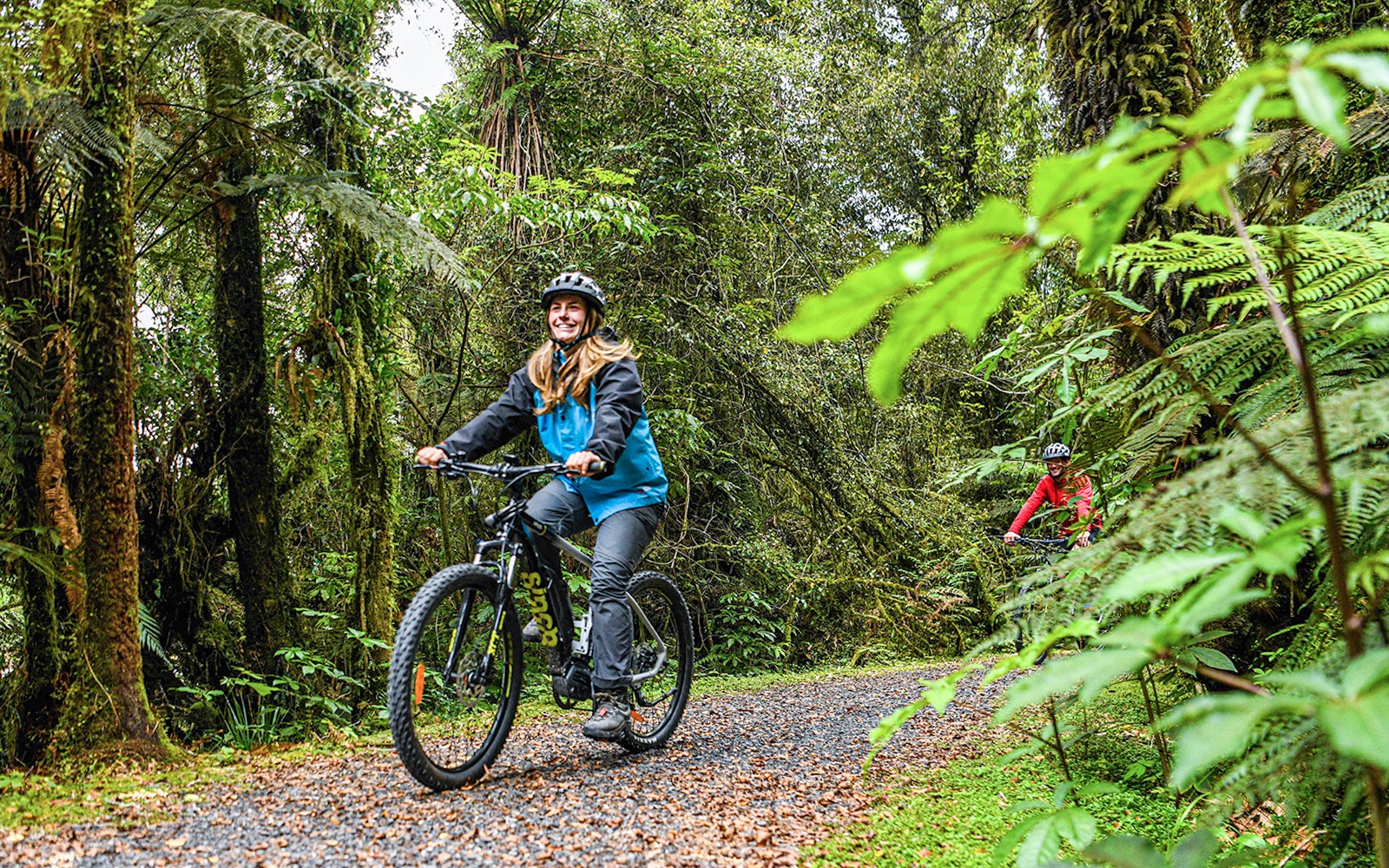 Grupo turístico recorriendo en bicicleta el exuberante sendero forestal en el Valle de Fox Glacier.