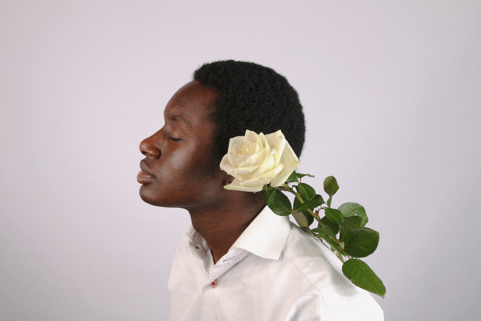 Boy with white rose