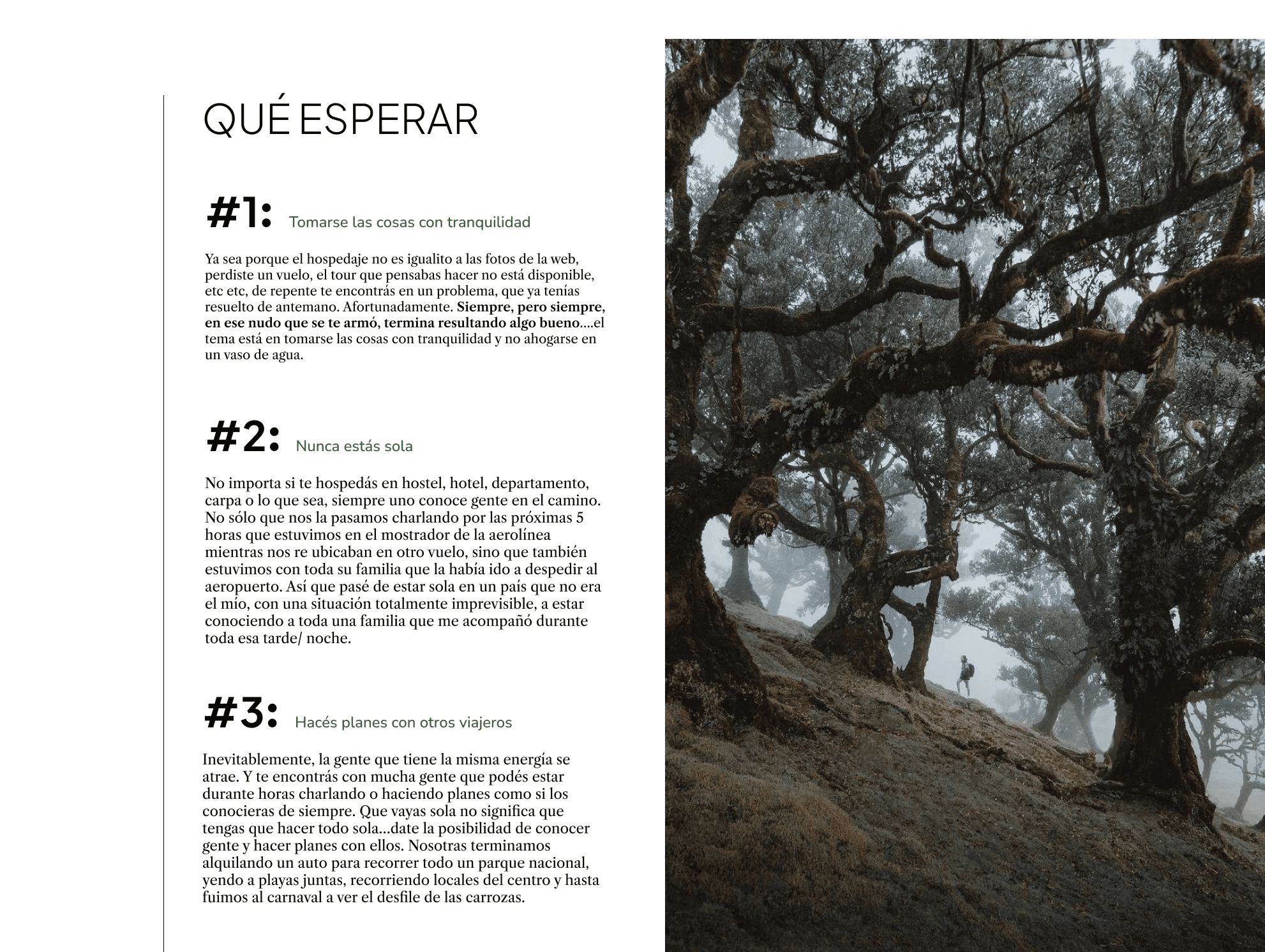 Olive preview