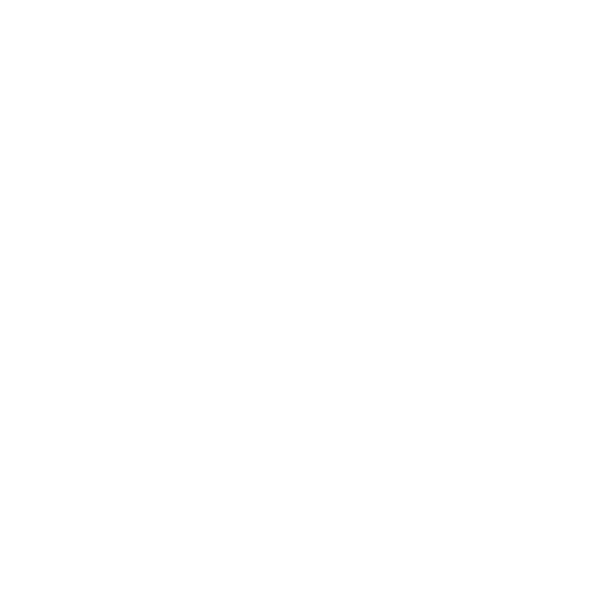 logo Vital Dignity Academy