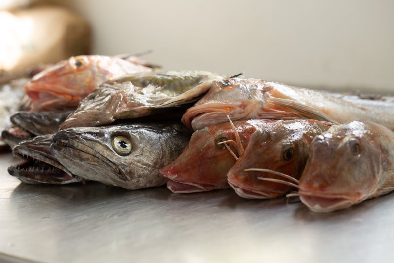 Dieta pescetariana, pesce di stagione