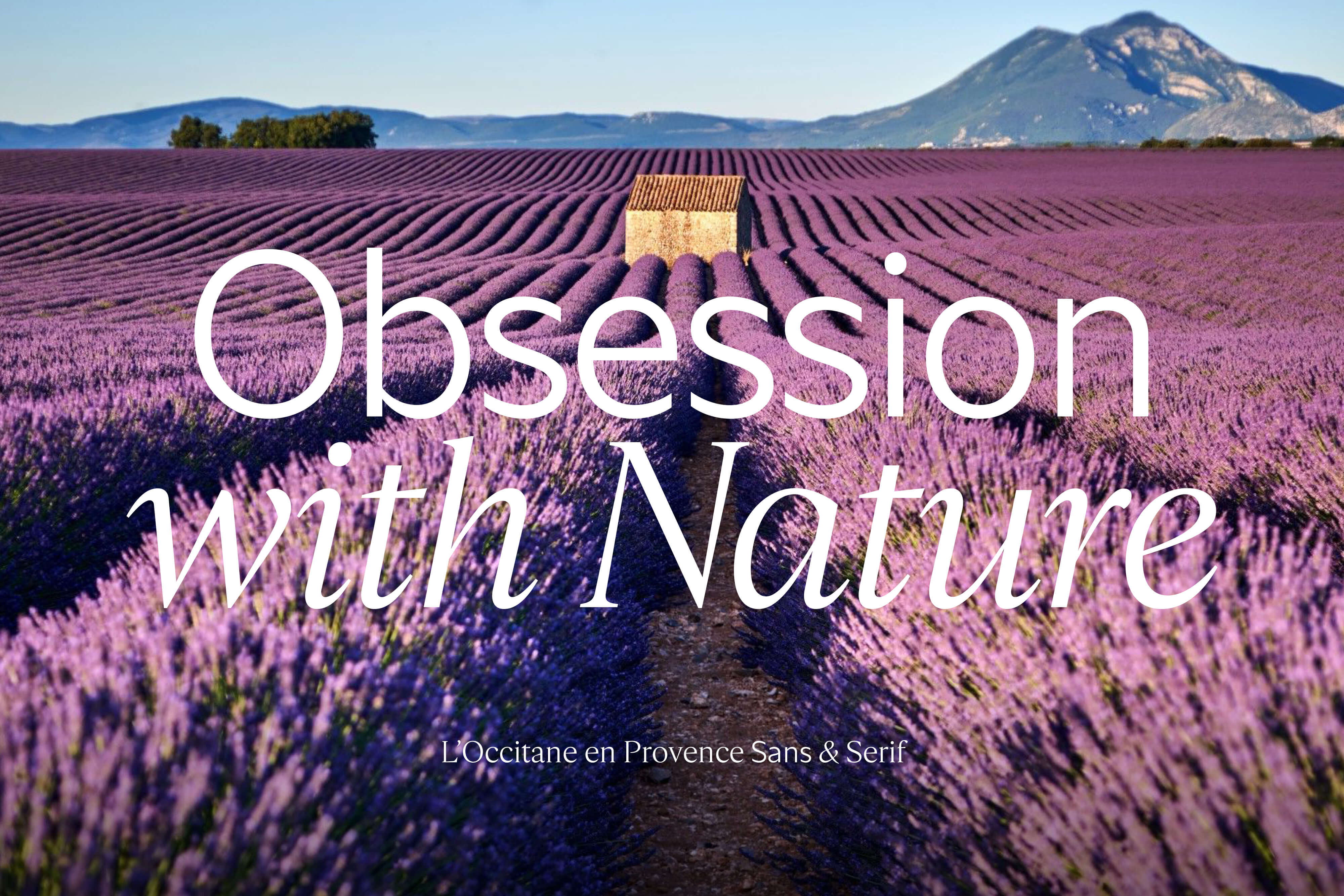 A scenic landscape featuring lavender fields with mountains in the background and the text "Obsession with Nature."