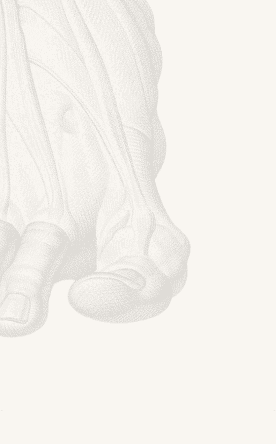 Pathologies de l'avant pied