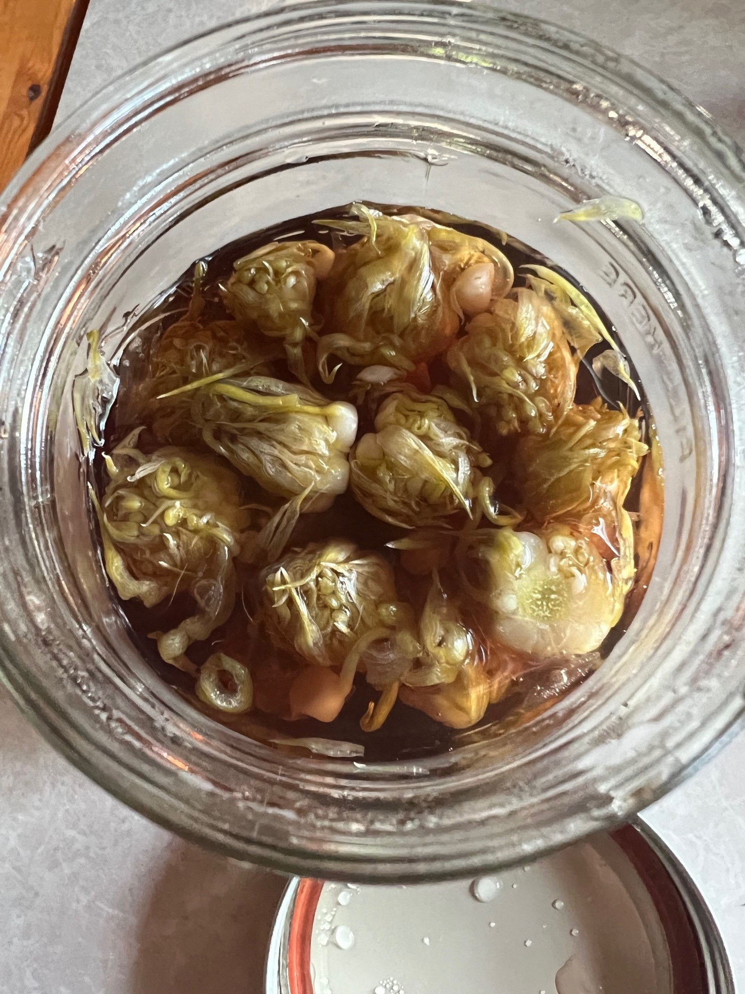 Group of students processing acorns together during a foraging class, representing shared learning and scholarship.