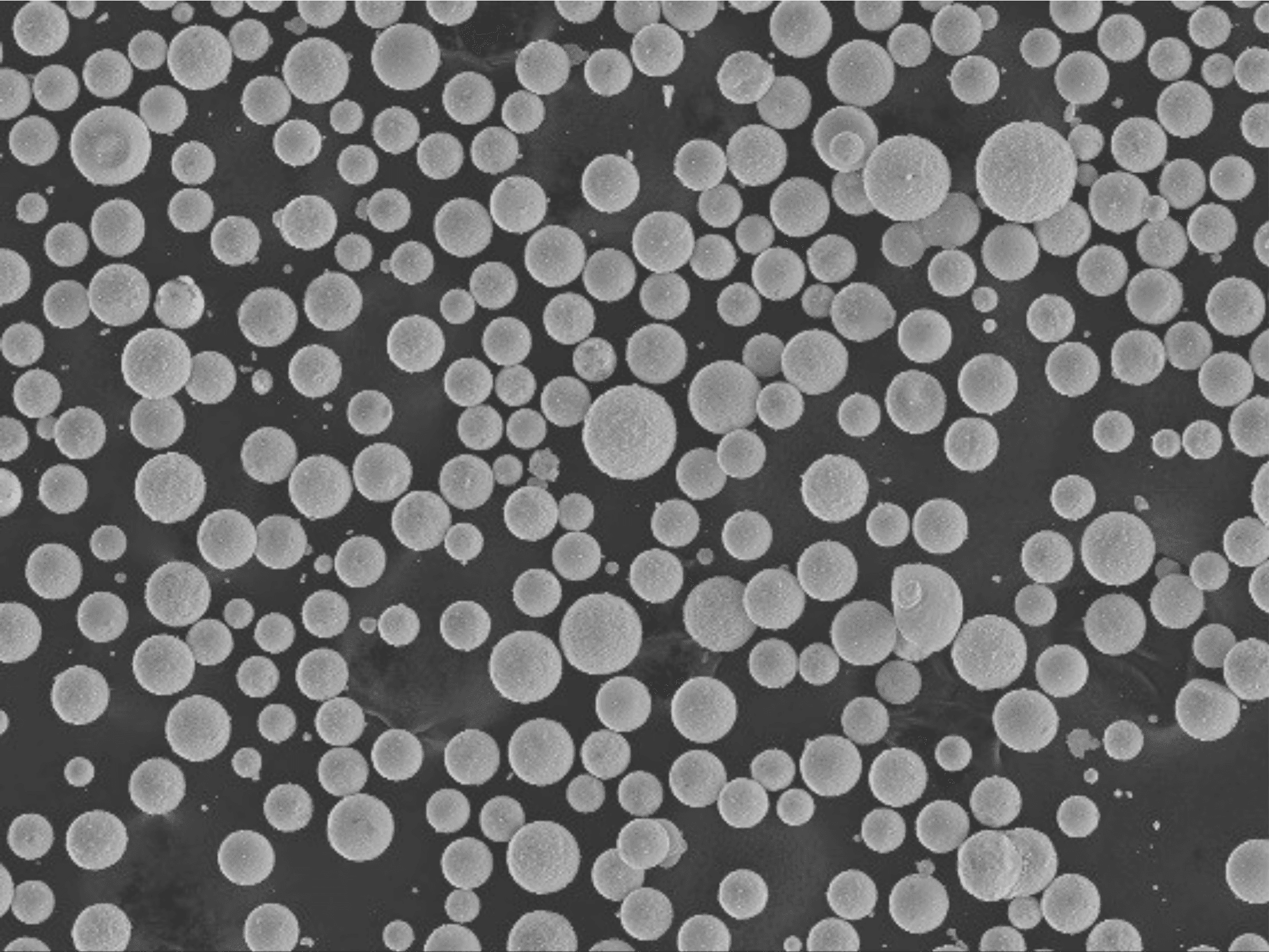 Microscope image of spherical cemented carbide powder particles