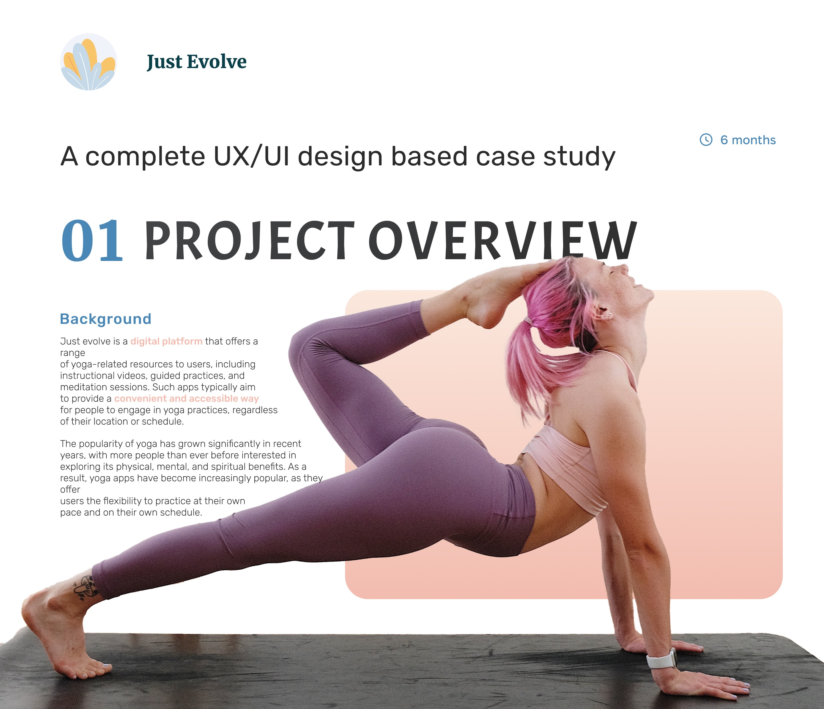 Just Evolve case study page 1