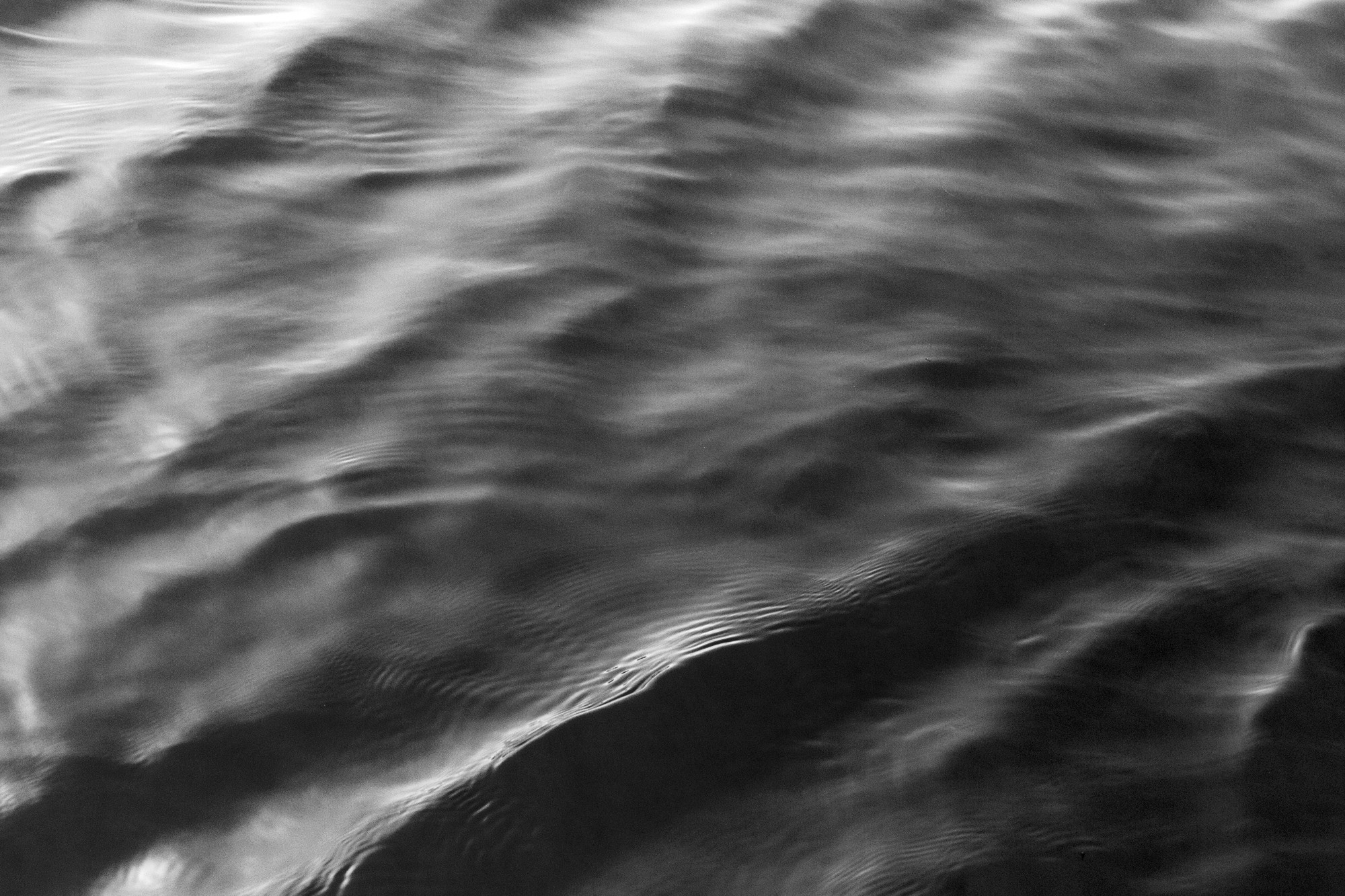 Lake Merced 1