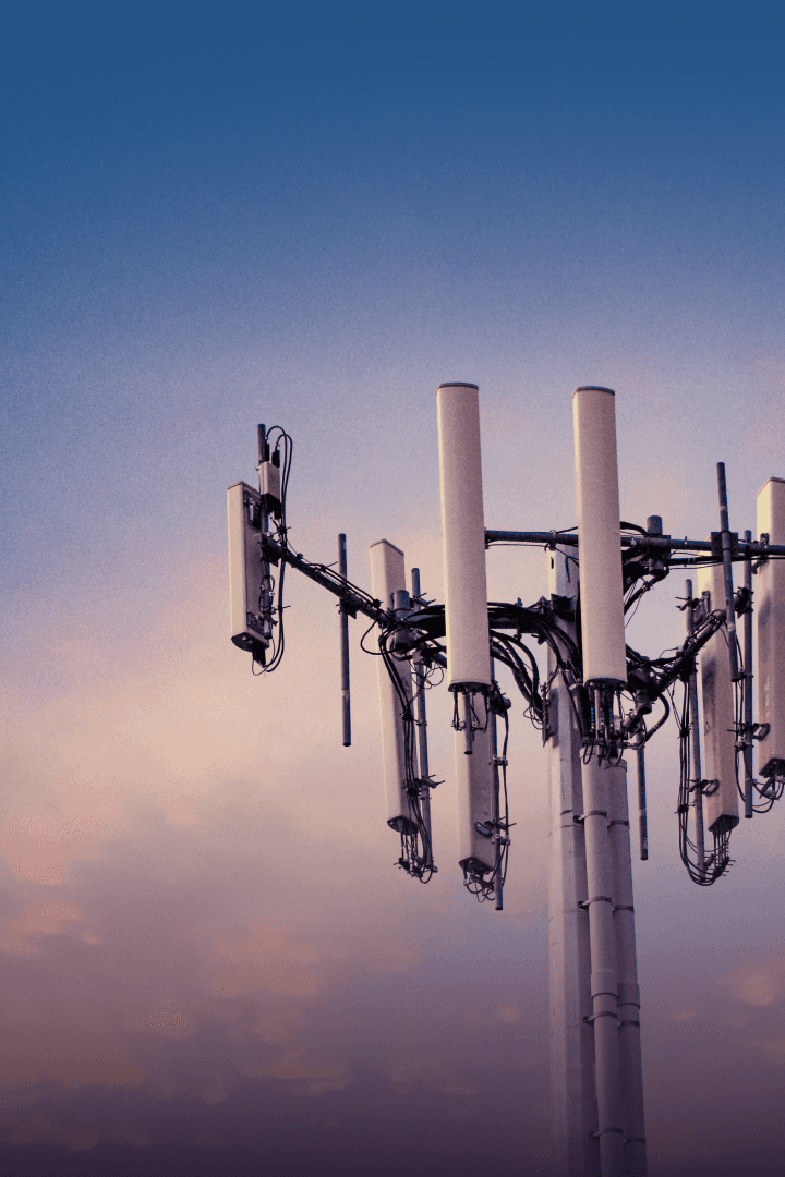 Close-up of a dark green leaf showing its textured surface and central vein against a muted background.