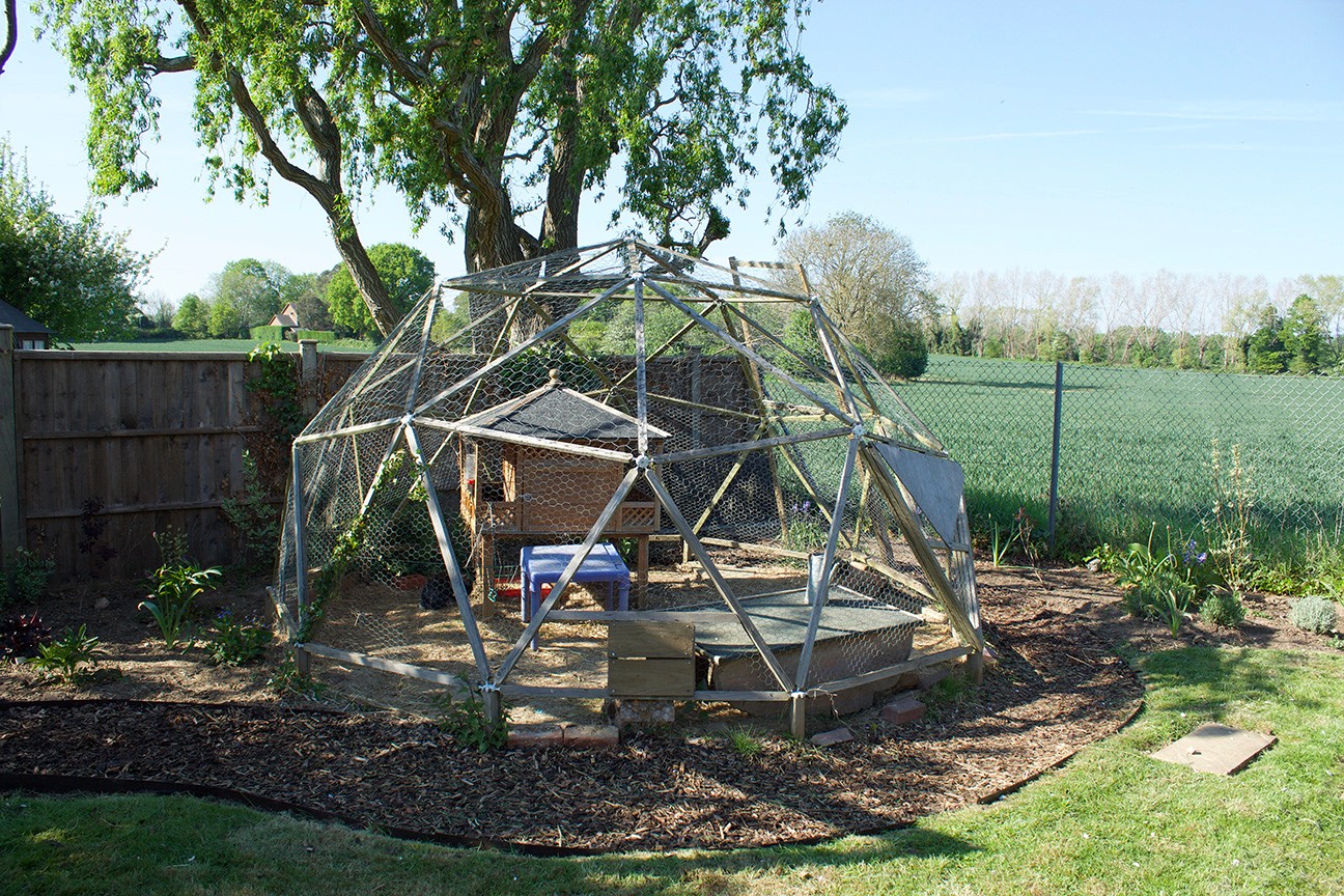 A metal sculpture of a dinosaur in a grassy area, surrounded by trees and a wooden fence. Blue skies above.