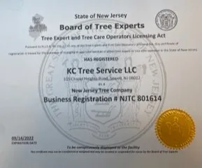 Certificate 1