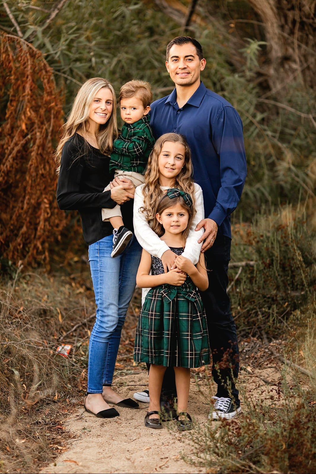 An image of Freelio's budget ui