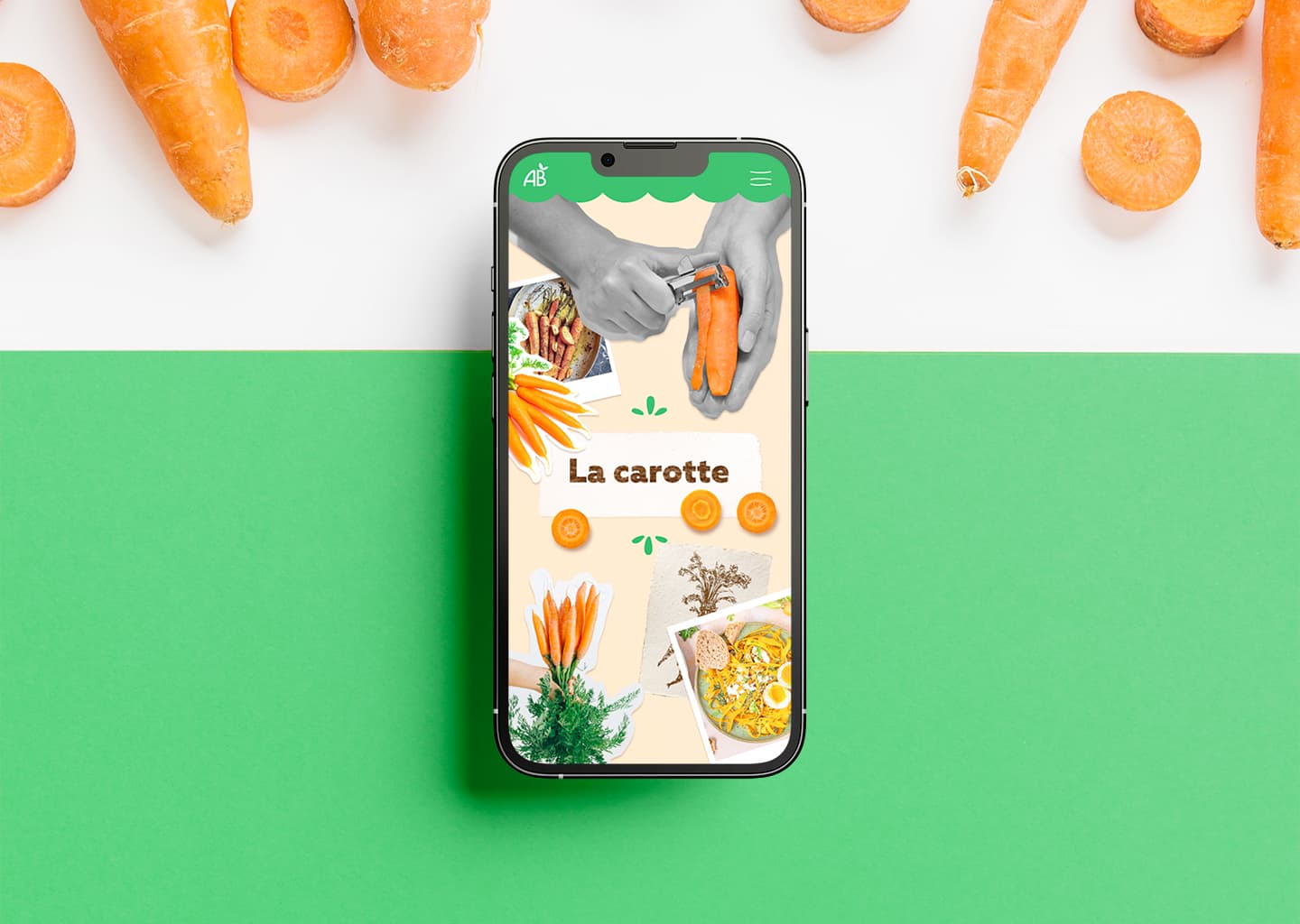 Hero de la page d'accueil du site de l'Agriculture biologique, montrant un collage de différentes photos de légumes.