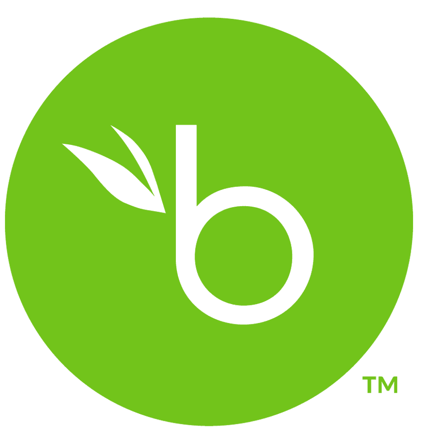 bamboo hr logo