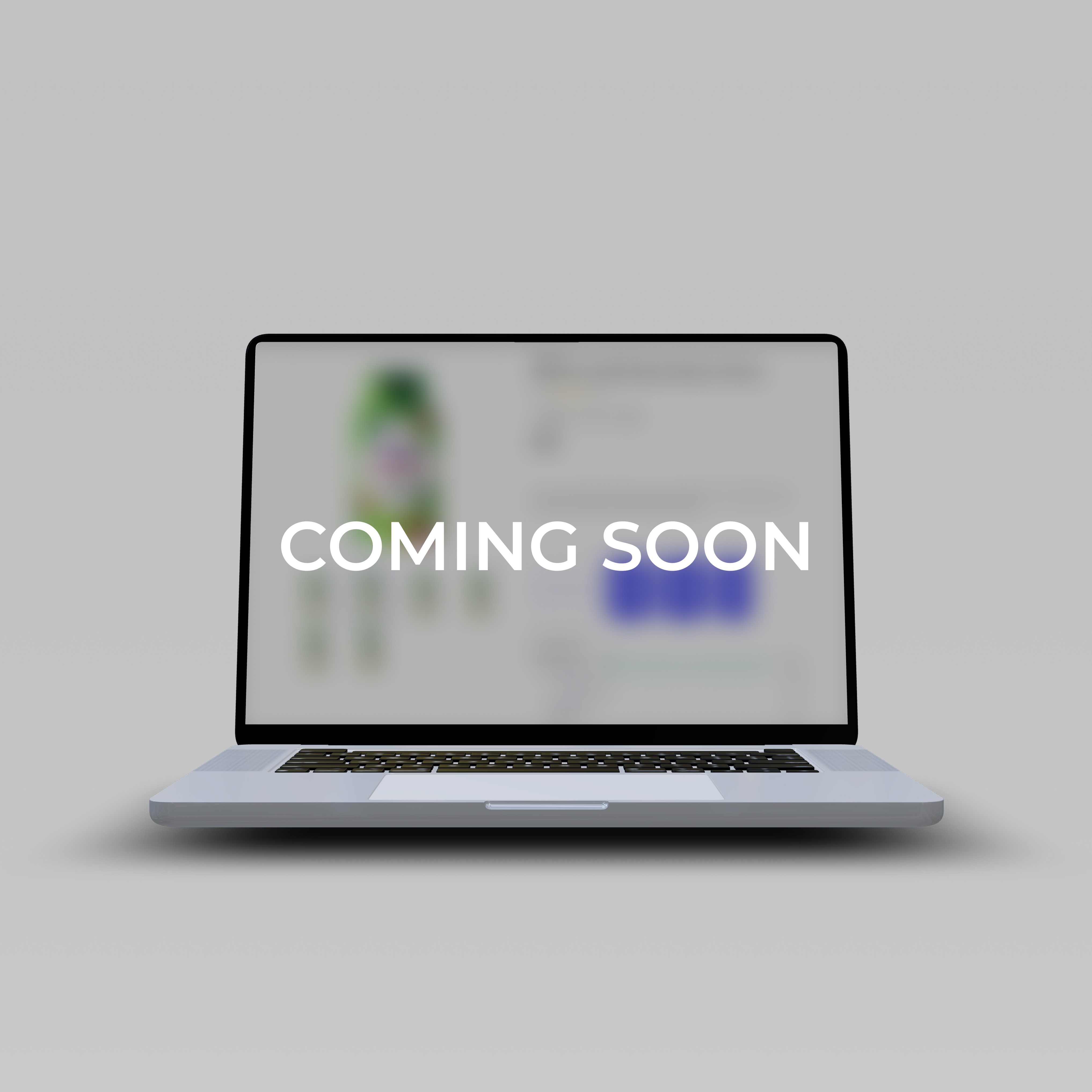 project img