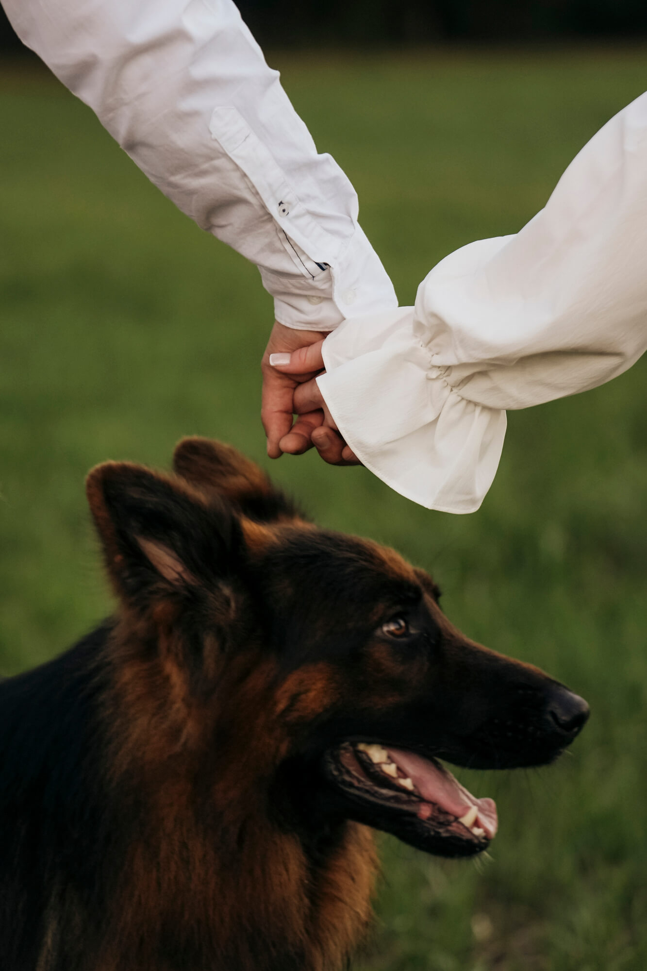 Groom portrait ahead of Eastern Cape wedding ceremony