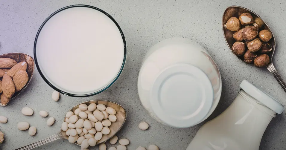 Dairy-free diets exclude milk-based products due to allergies or preferences.