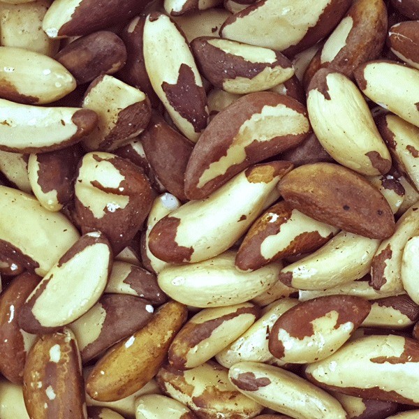 two people looking at a tablet and smiling