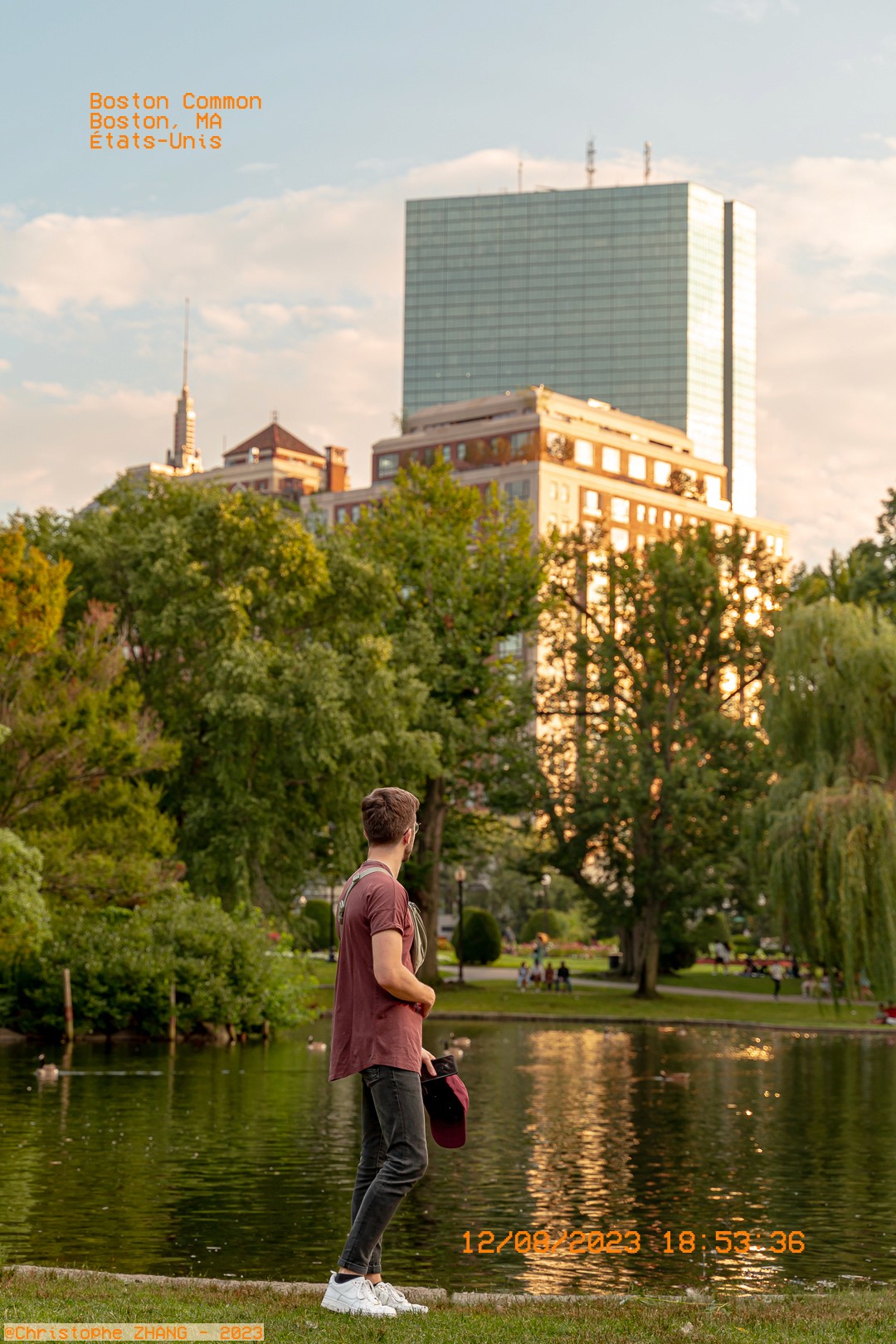 Scène paisible à Boston Common, un homme contemplant l'étang avec des immeubles au loin.