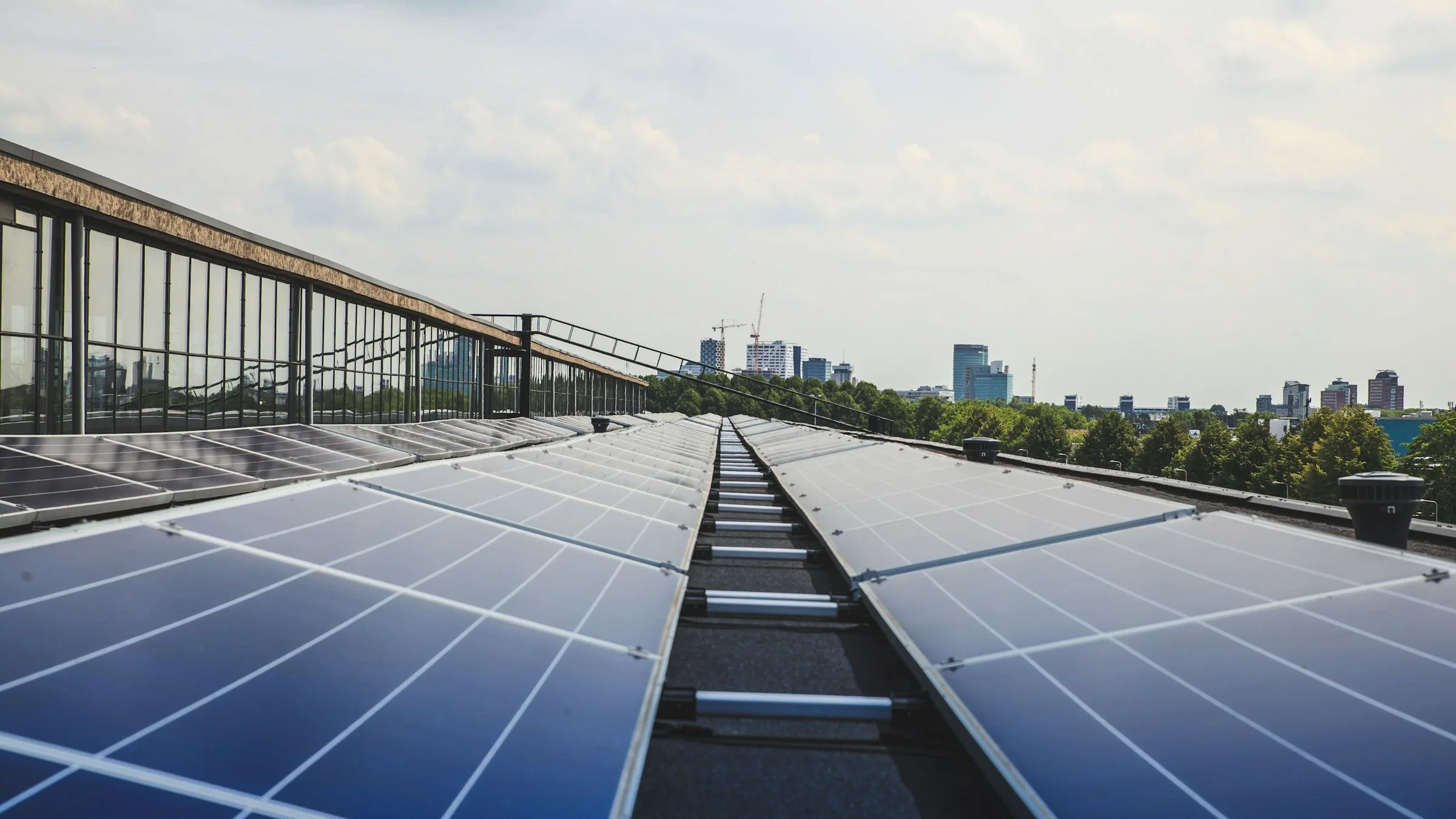 Rows of solar panels on a commercial building rooftop with a city skyline in the distance