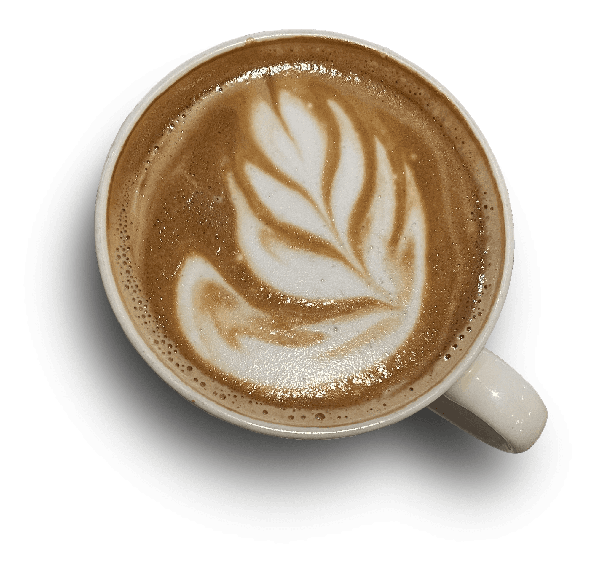 speaker with a half white half green background