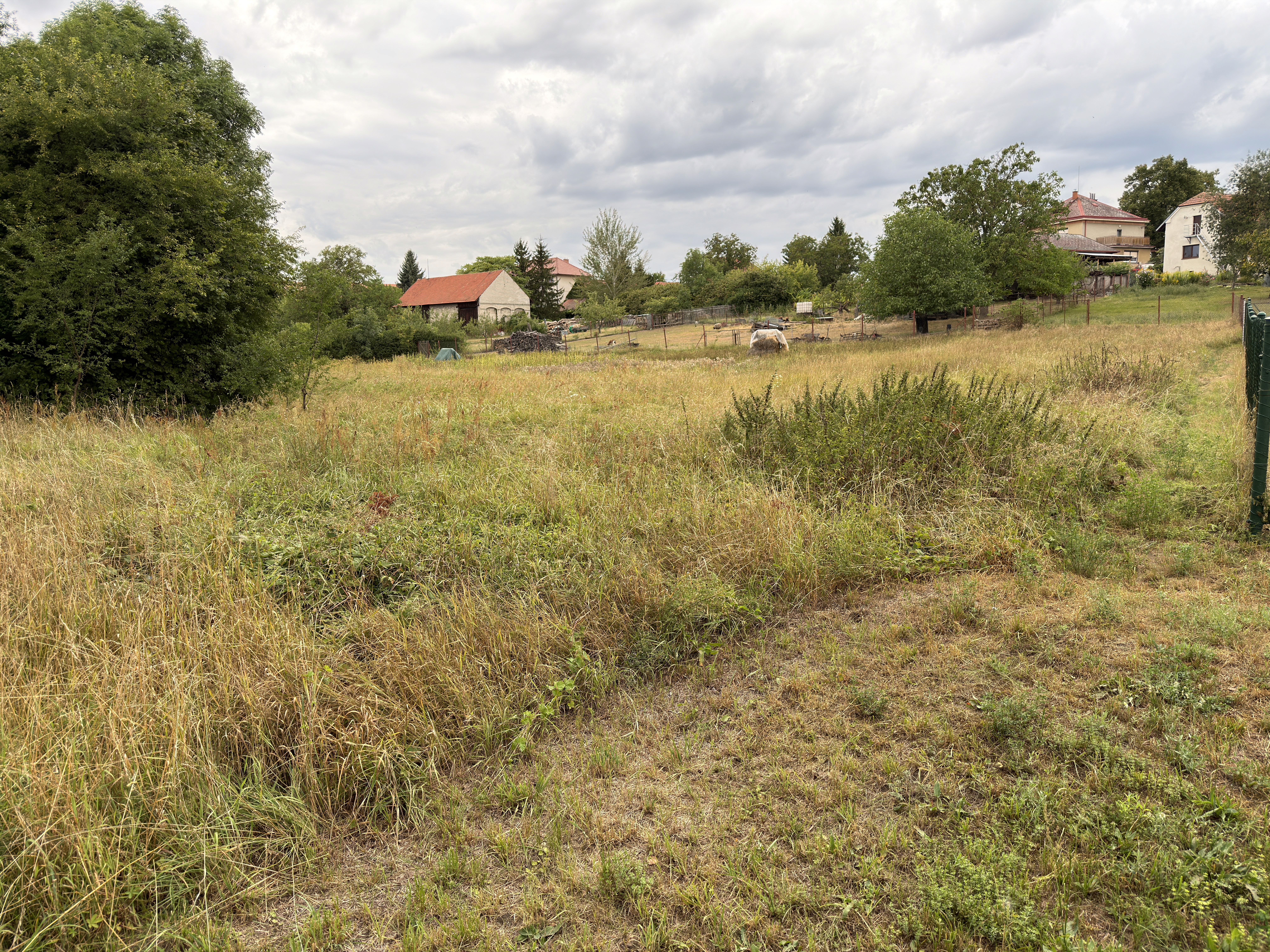 Veřejná zeleň v Oskořínku před údržbou