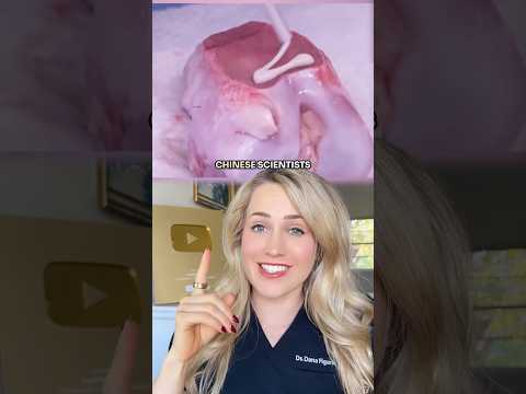 Thumbnail of a recent video from creator