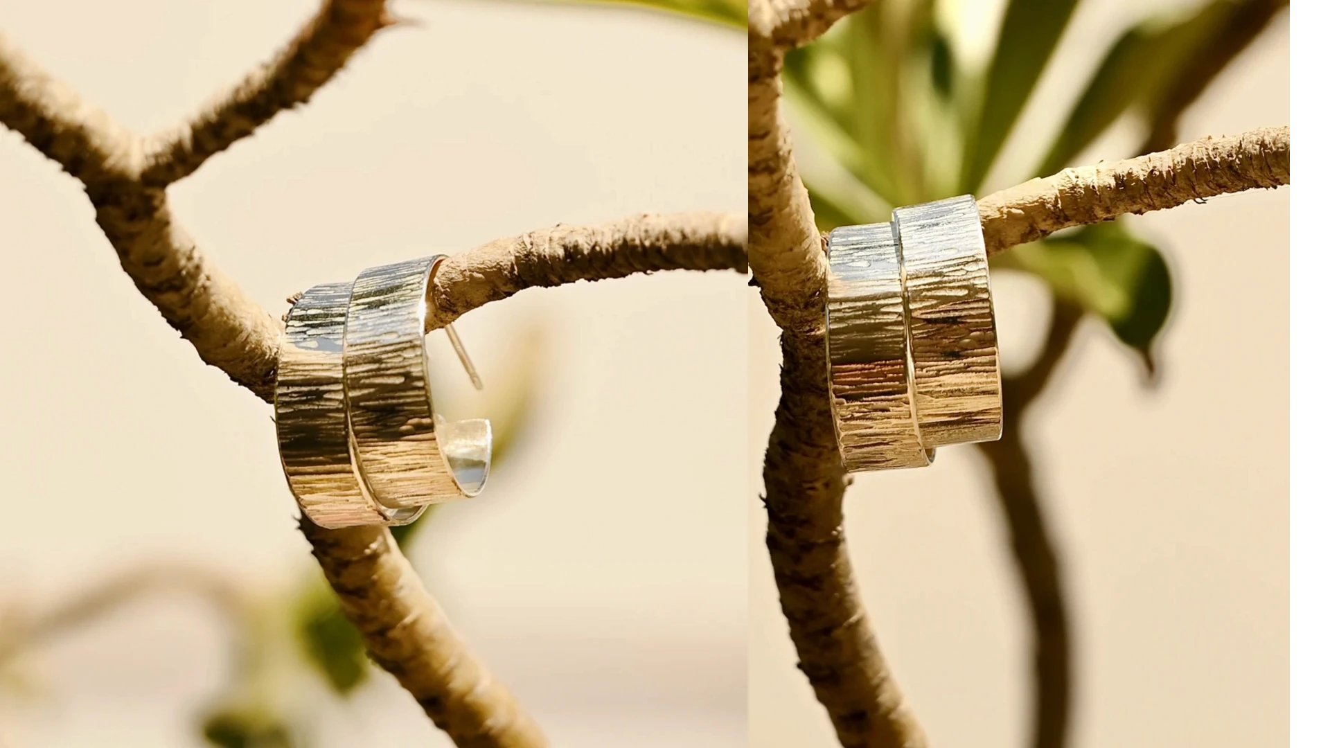 קומפוזיציה אמנותית של עגילי חישוק מכסף בעבודת יד, תלויים על ענף עץ יבש תחת אור שמש טבעי. התמונה מבליטה את הטקסטורה המחוספסת והייחודית של הכסף על רקע טבעי רך, מאת Shiriz Photography הצלמת שירי עציץ.