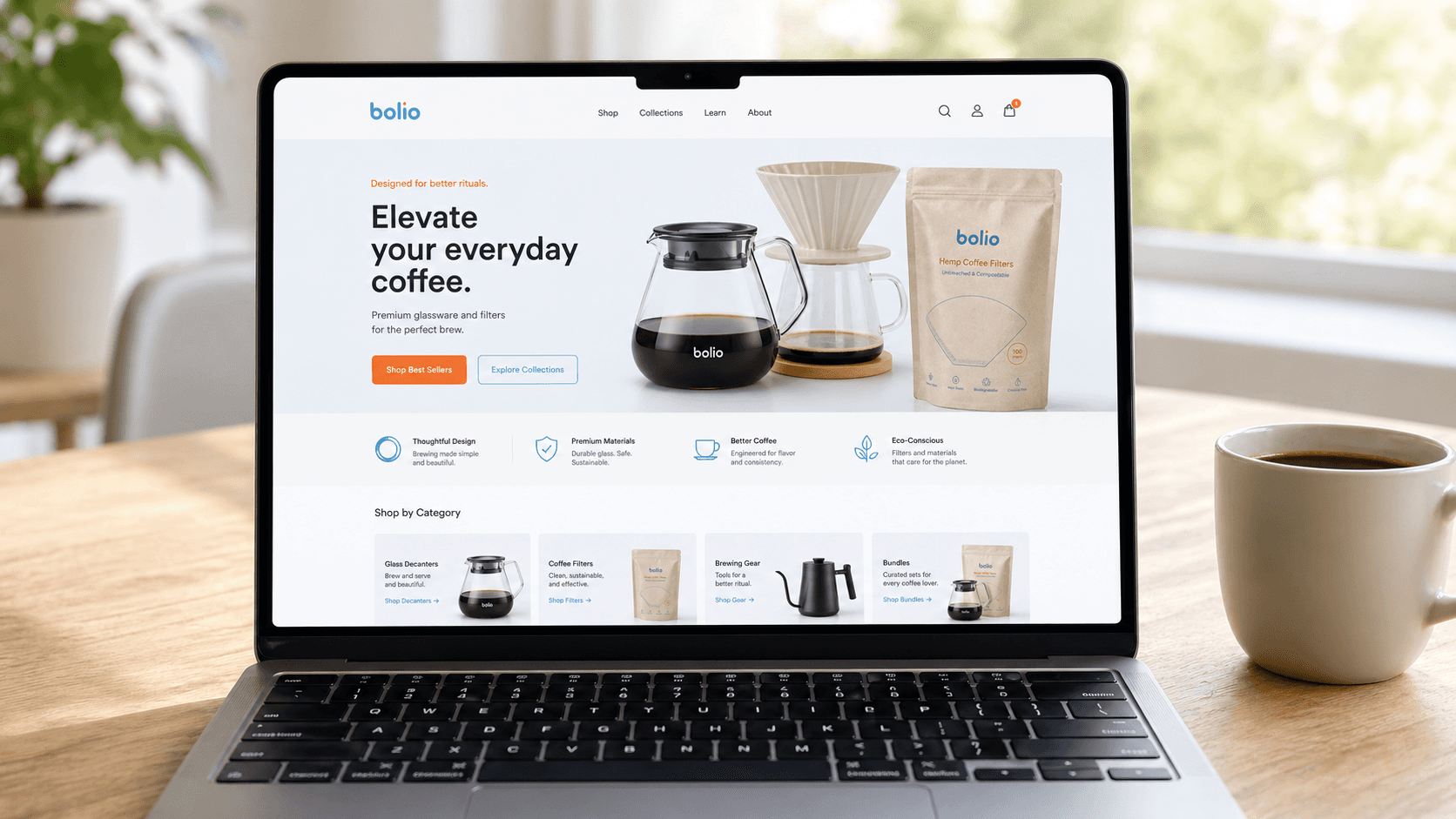 Bolio Website