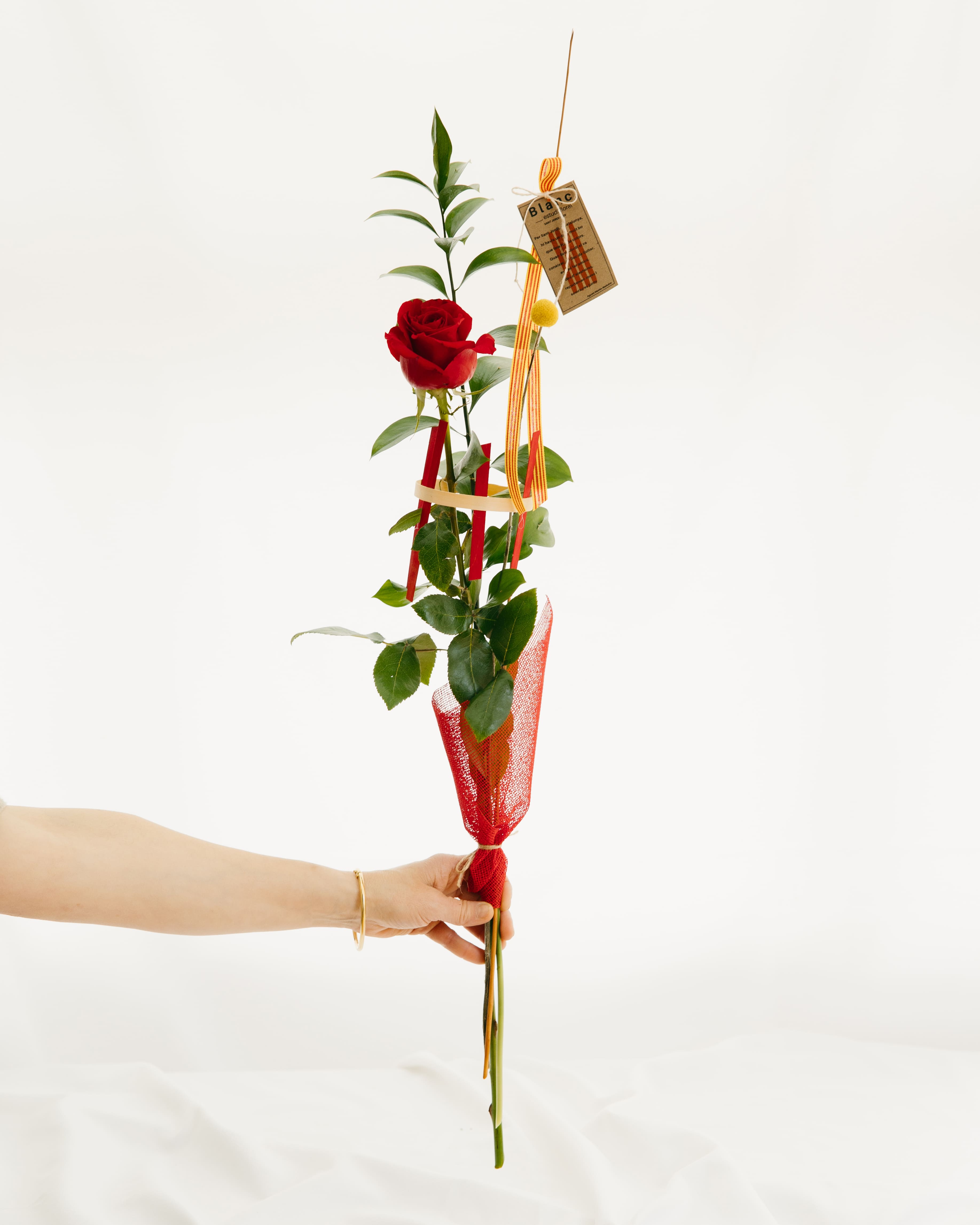 Rosa de Sant Jordi amb disseny estructural modern i esvelt, presentada amb un suport vertical minimalista de color roig.