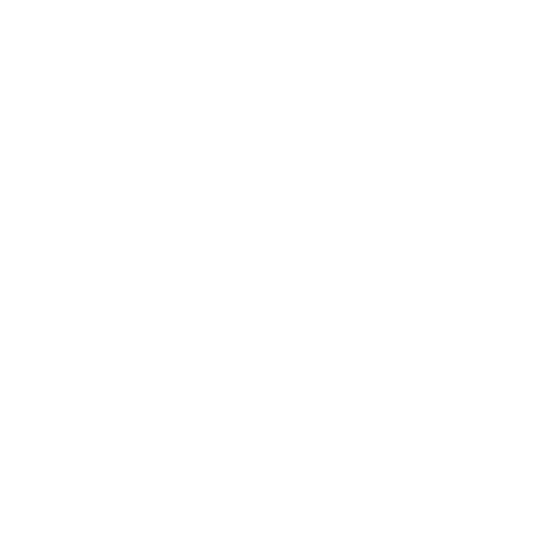 Claude Sonnet Model