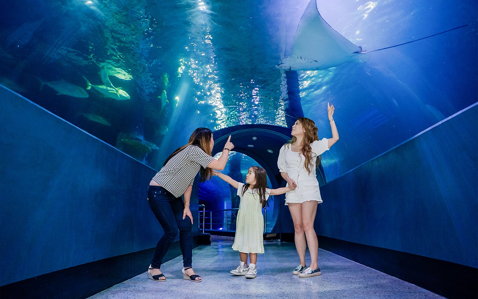 Visitors admire marine life in the tunnel at SEA LIFE Melbourne.