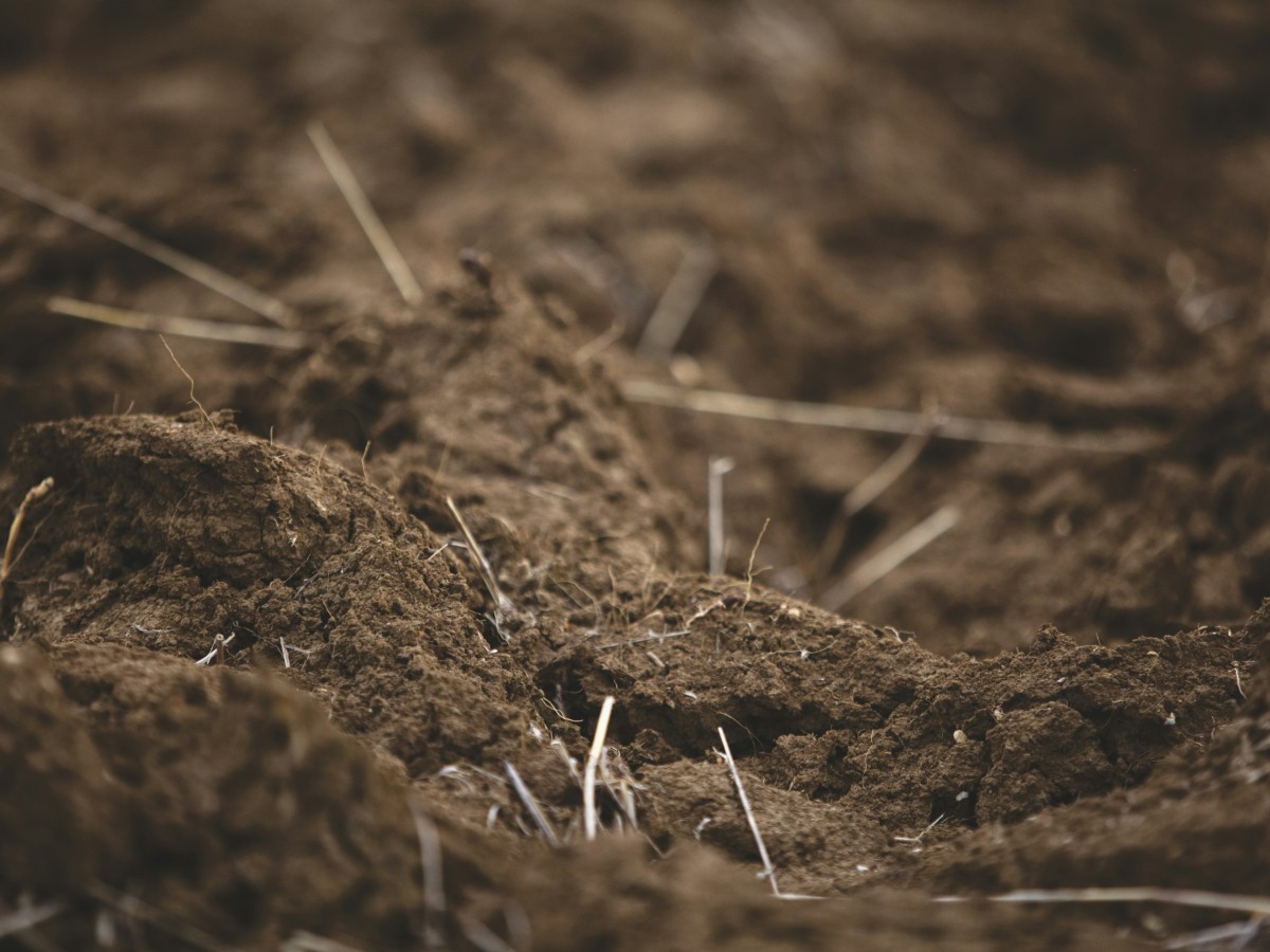 agricultural service waynesville