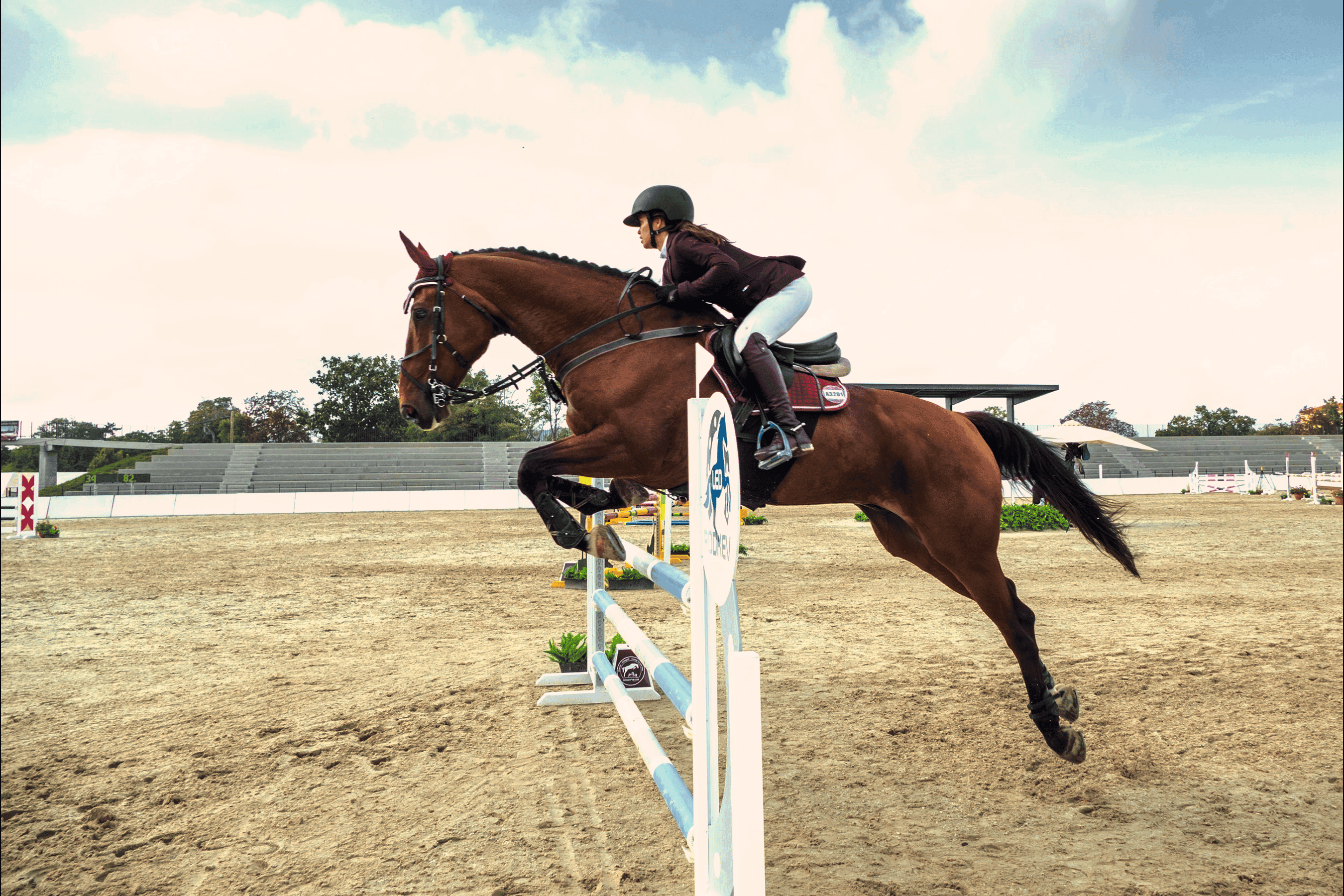 woman is riding horse