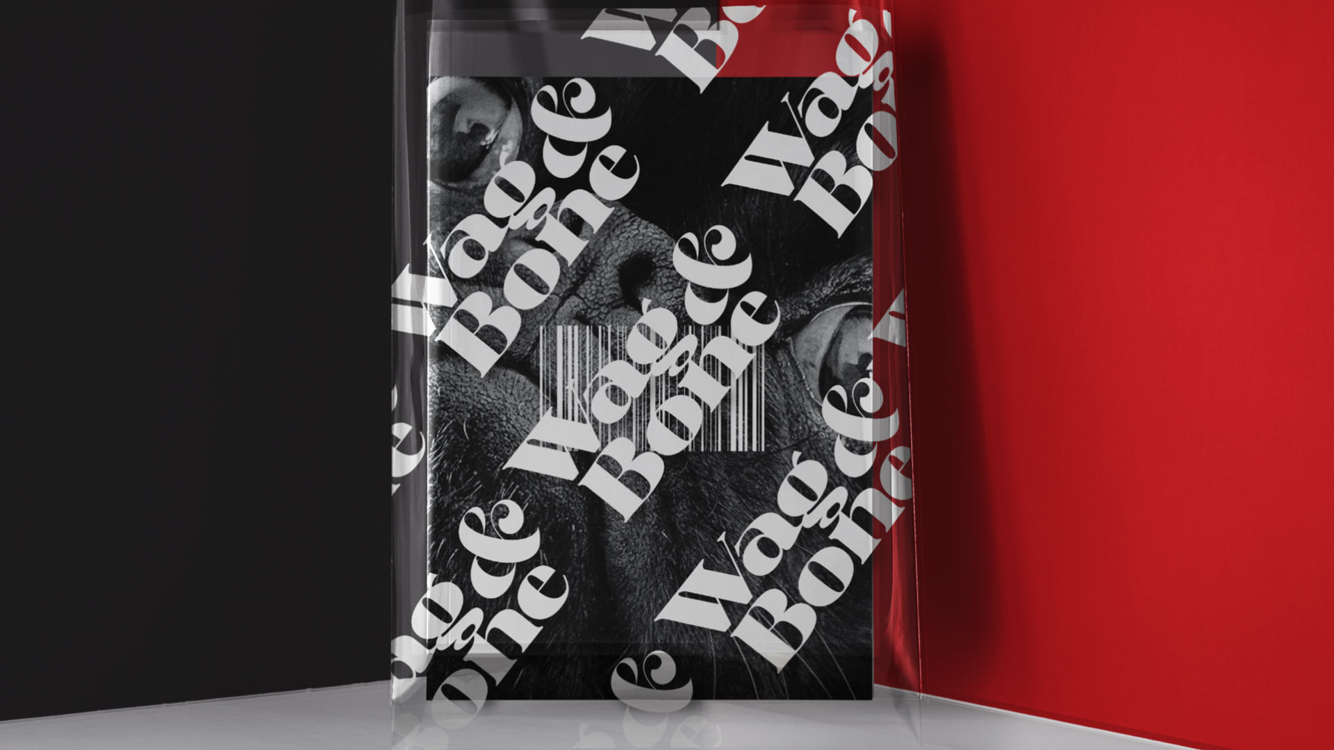 zra Lee magazine design - Wag & Bone