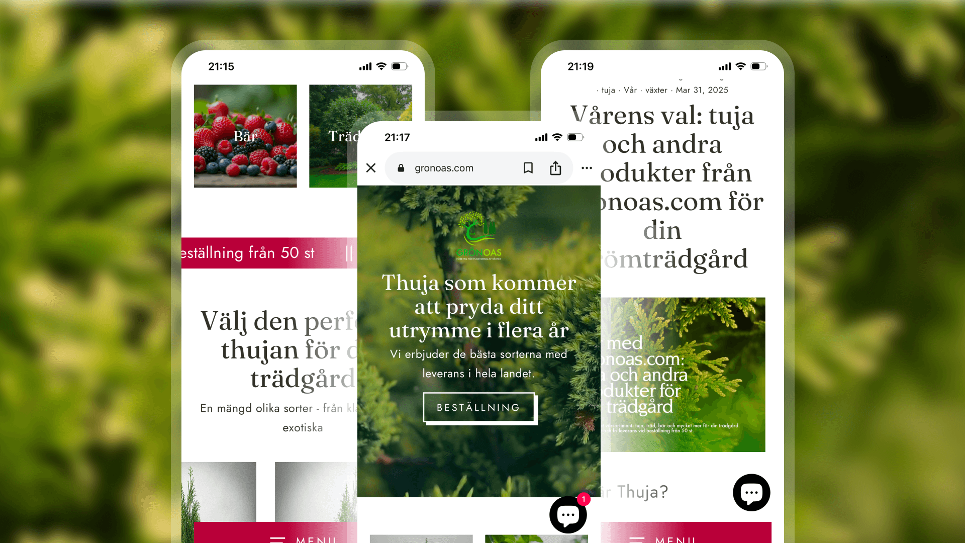 Large Project Gallery Image #1