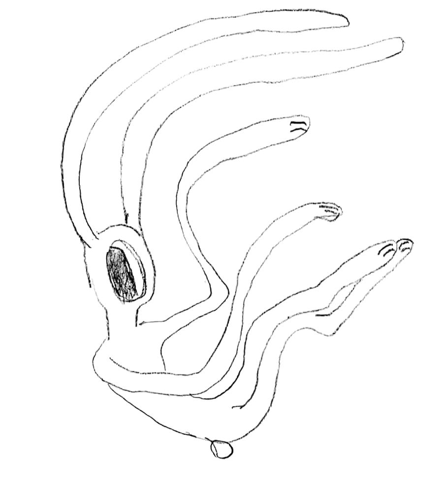 Lapin stylisé avec un trou au centre du visage semblant chuter dans le vide dans une composition biomorphique