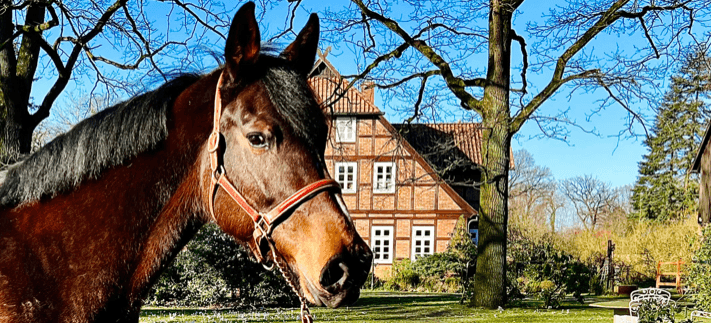 Familie L.B. Convall