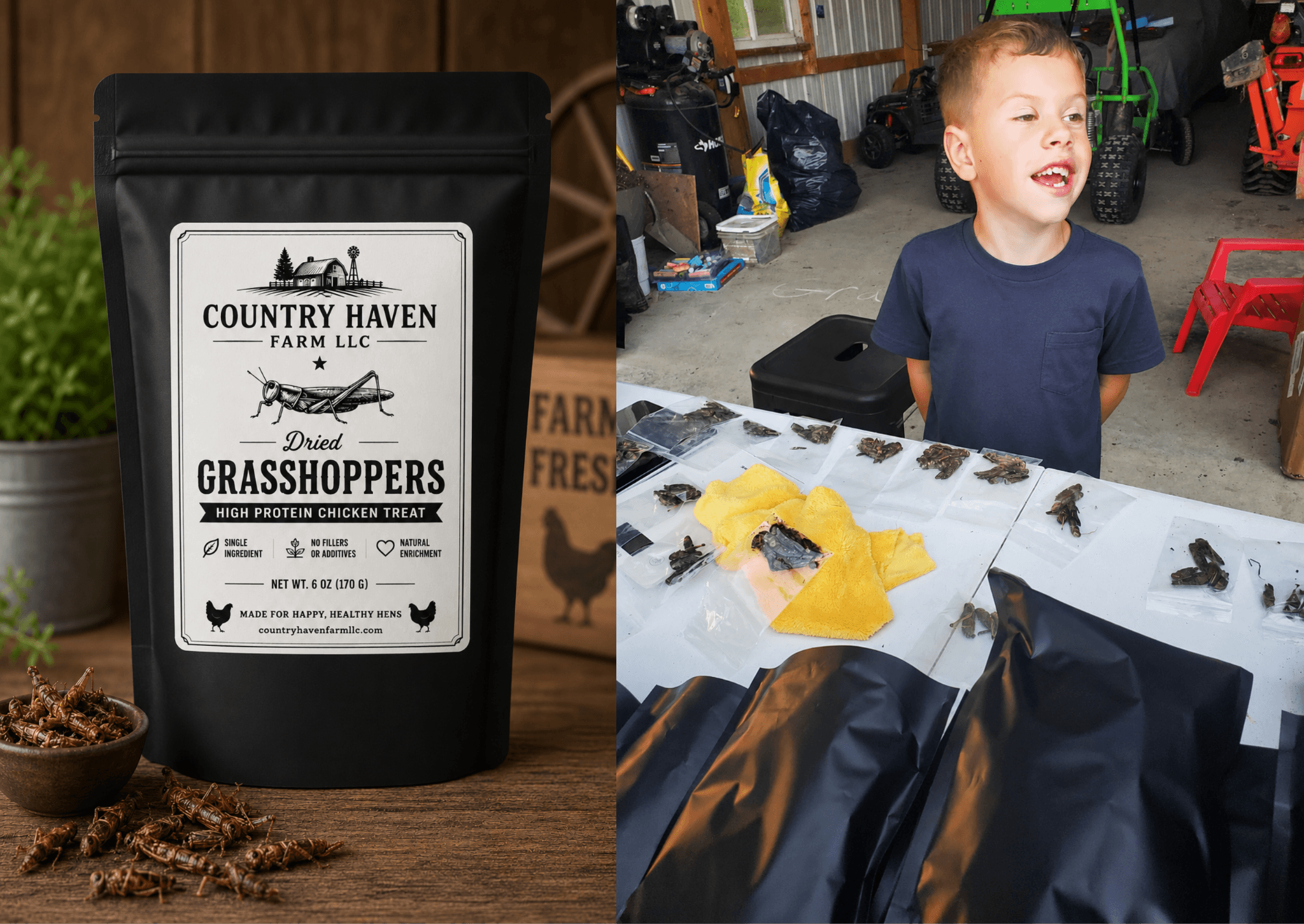 Country Haven Farm dried grasshopper treats beside a child packaging orders in a farm workshop.