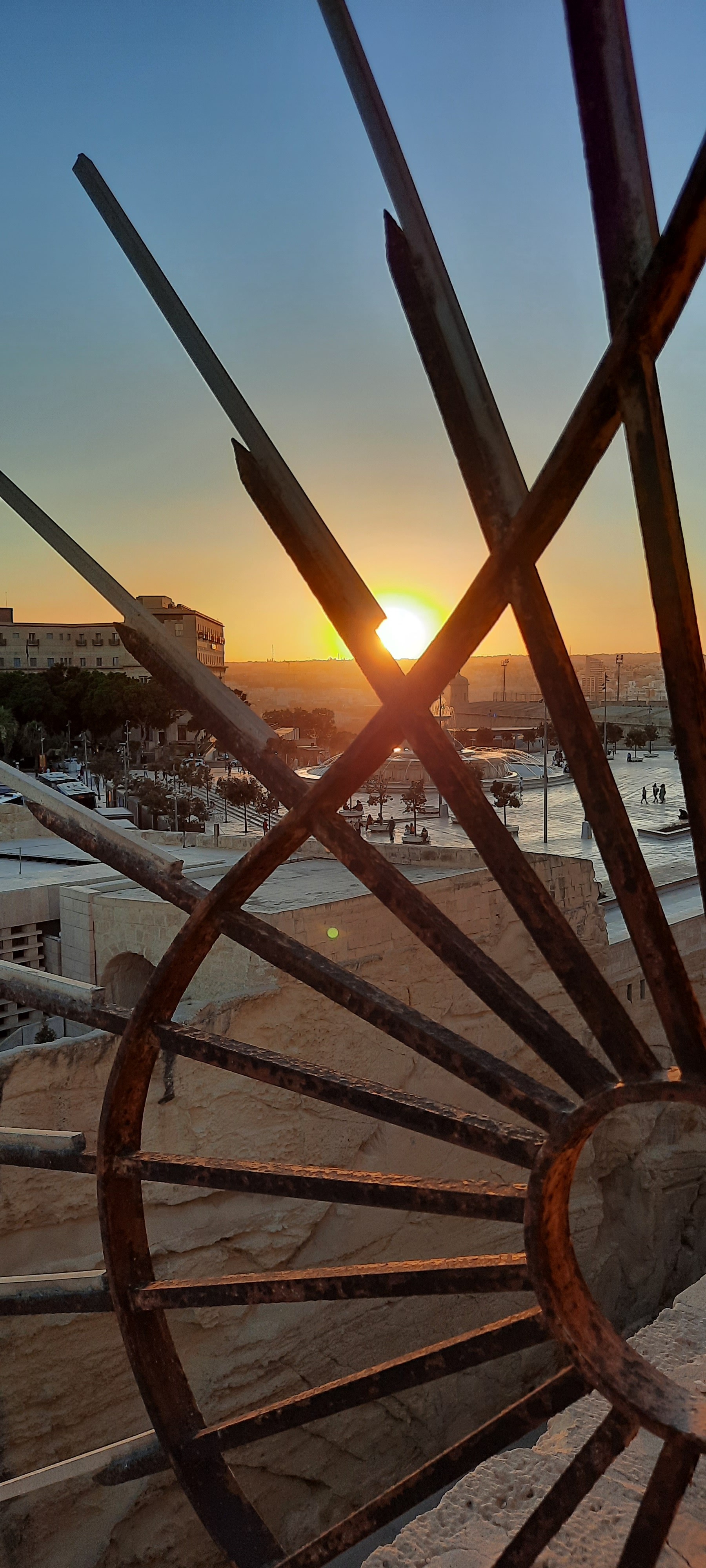 a brown dog sitting on top of a sandy beach