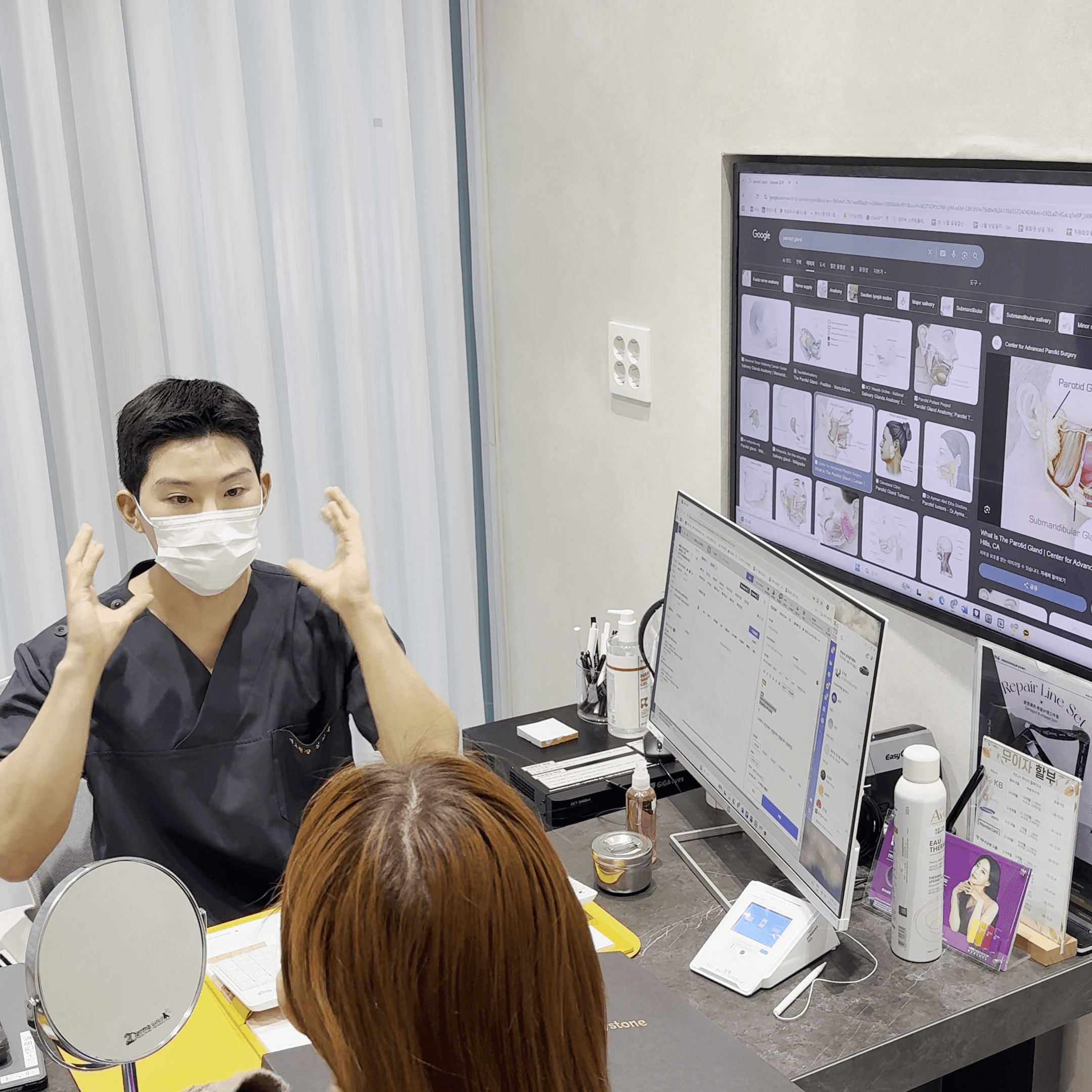 교근과 이하선 위치 비교 해부 구조 설명