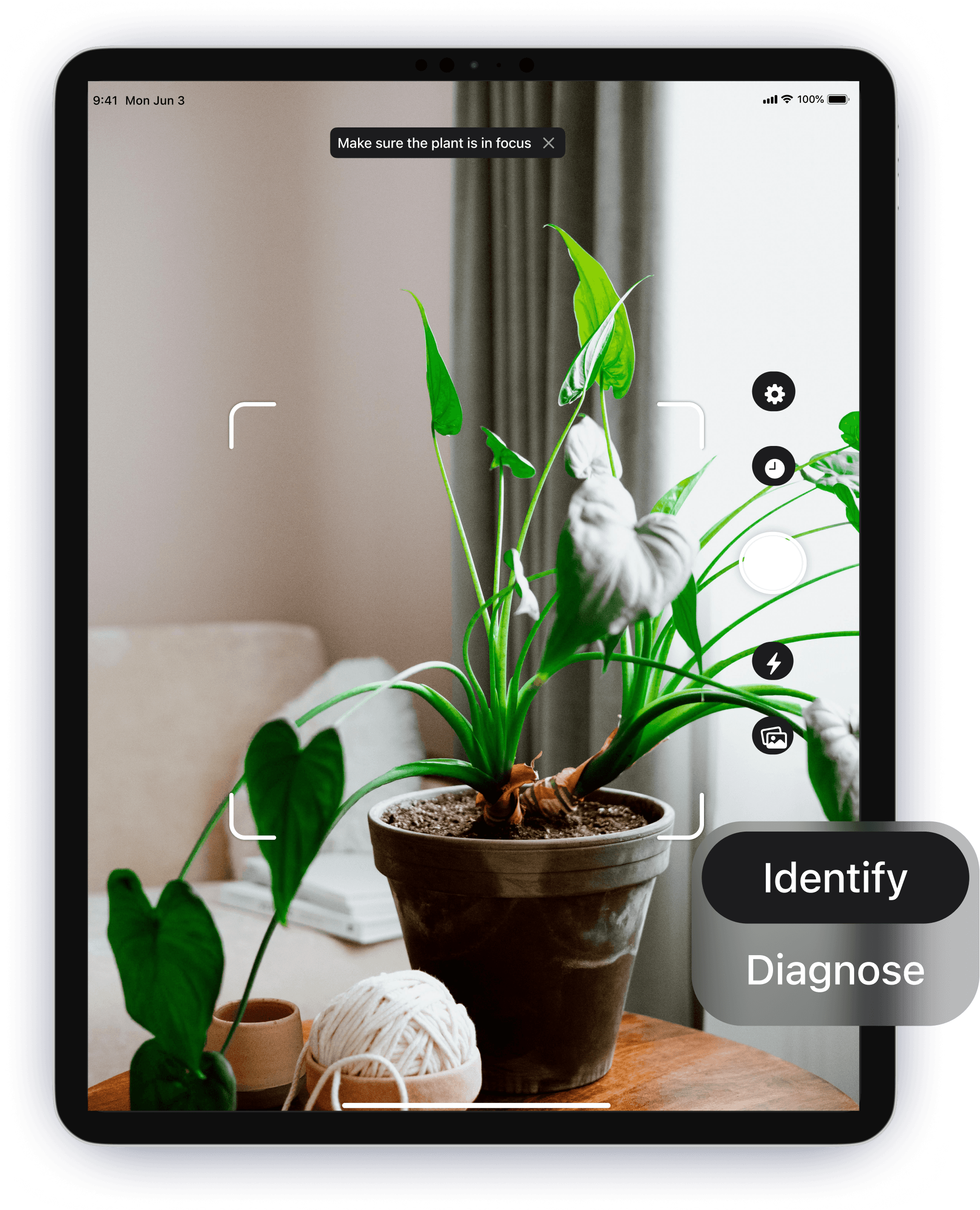 Plant identifying app