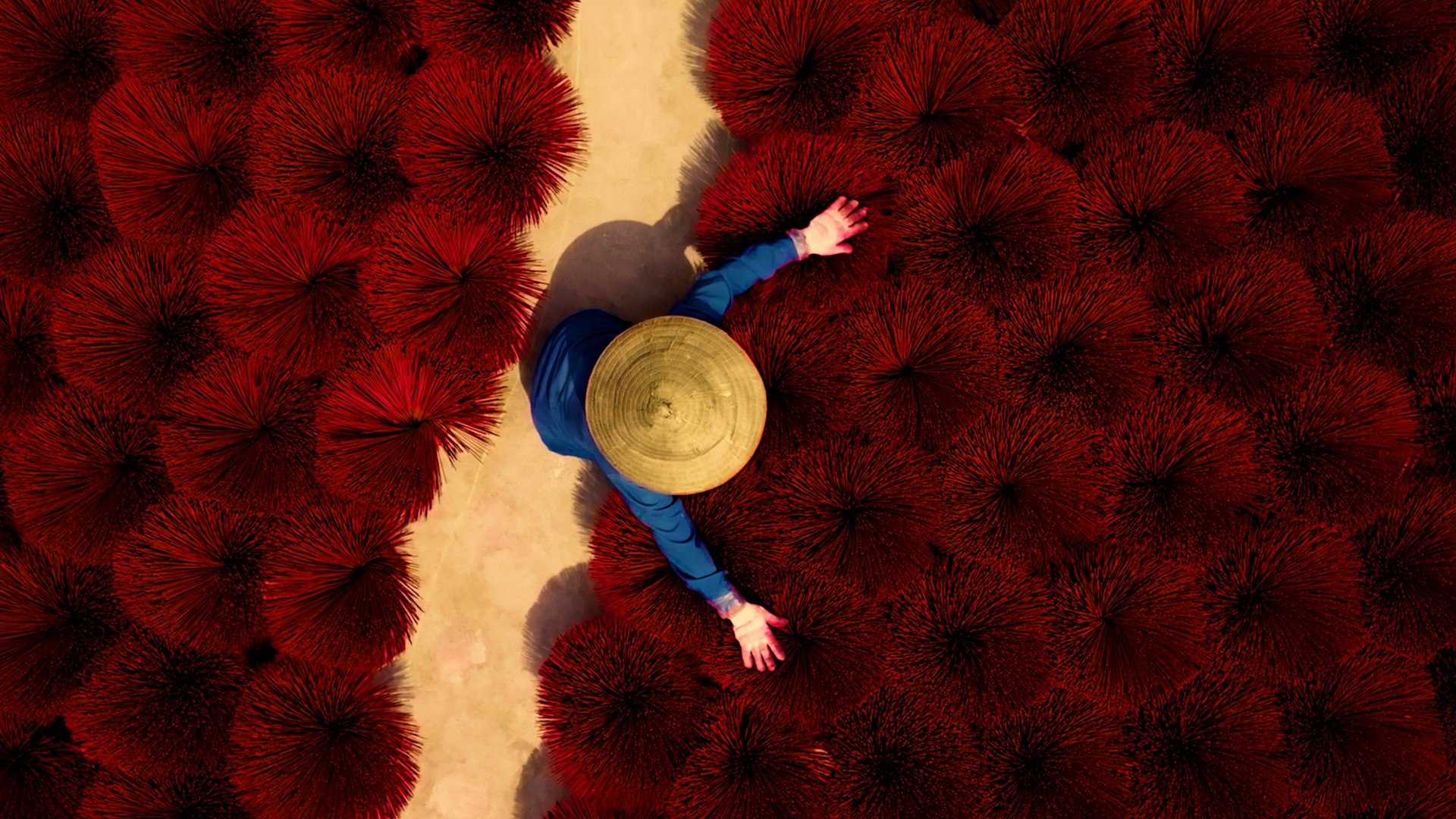 Vietnam — Beautiful Destinations film directed by Kiely Mizumoto