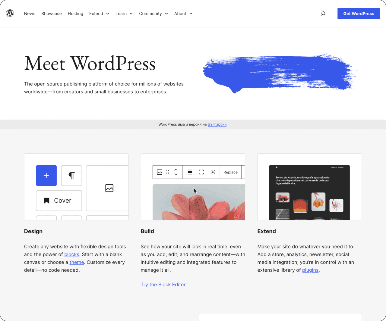 wordpress