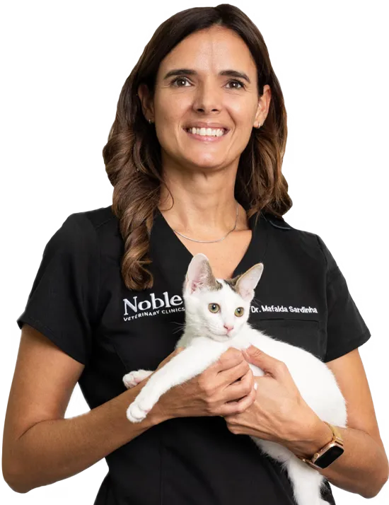 Dr. Mafalda Sardinha: Veterinary Surgeon | Medical Director at Jumeirah Branch