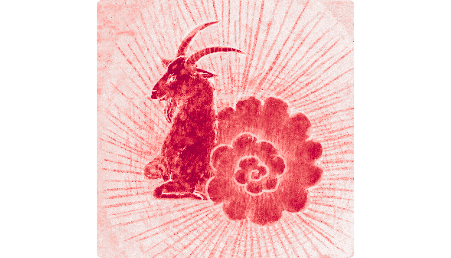 Close-up portrait of a person