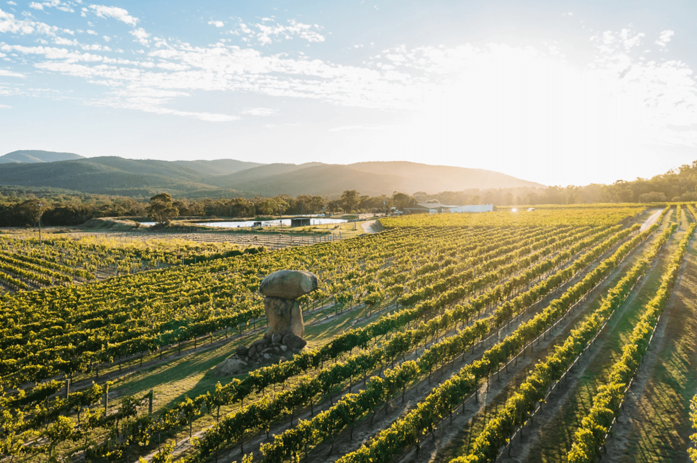 Balancing Heart Vineyard Winery Granite Belt QLD