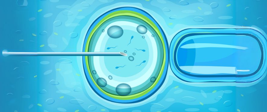 How do PGT Treatment and Embryo Biopsy Treatment Shape Parenthood Destiny?
