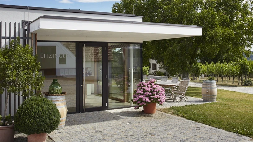 Moderne Eingangstür