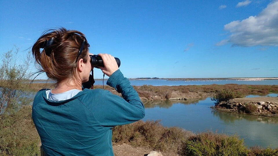 Judesba · Wikimedia Commons · llicència CC BY-SA 4.0 · https://commons.wikimedia.org/wiki/File:Viquitrobada_2022_-_Visita_al_Delta_de_l%27Ebre_40.jpg