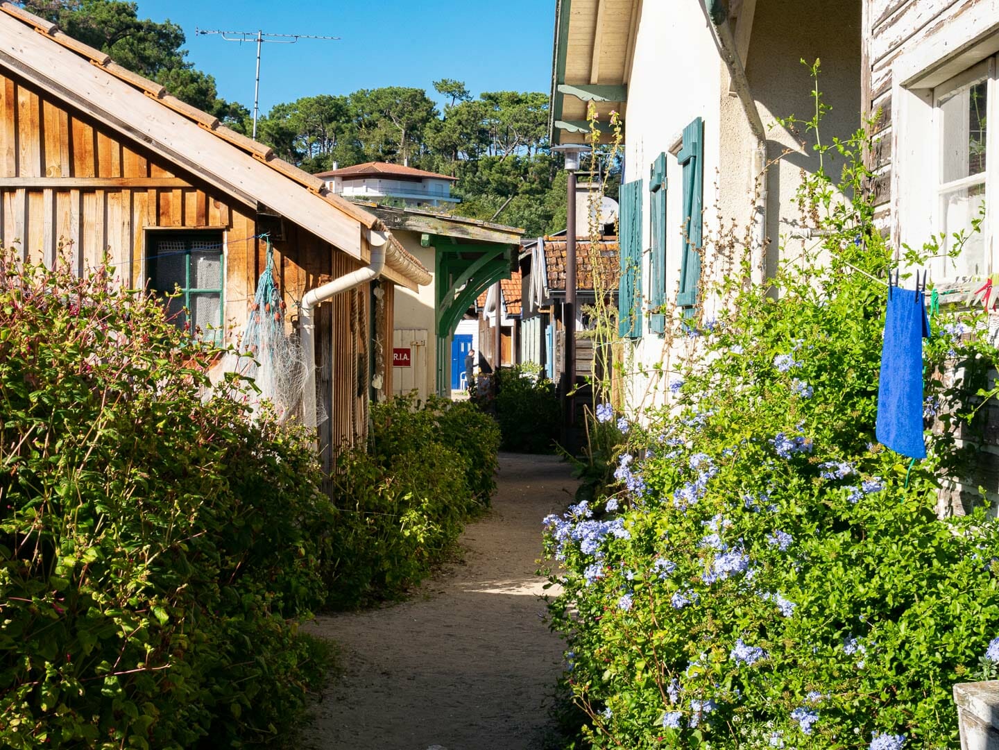 Le village de l'herbe